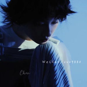 水管视频com最新版本更新内容
